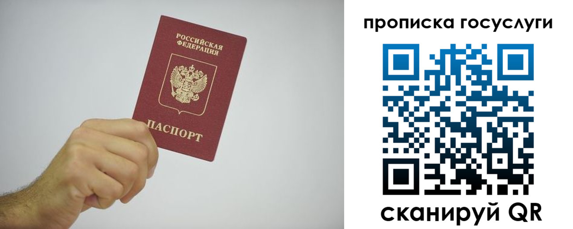 прописка законно в Шумихе